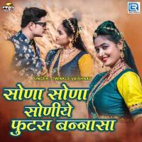 Sona Sona Soniye Futra Bannasa Twinkal Vaishnav Song Download Mp3