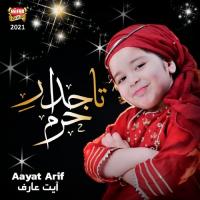 Tajdar E Haram Aayat Arif Song Download Mp3