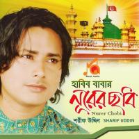 Dhekbo Habib Baba Noyon Vore Sharif Uddin Song Download Mp3