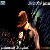 Mera Rab Jaane Jahanzeb Mughal Song Download Mp3