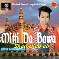 Mitti Da Bawa songs mp3