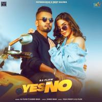 Yes Or No (feat. Shree Brar) Dj Flow Song Download Mp3