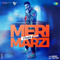 Meri Marzi Parmish Verma Song Download Mp3