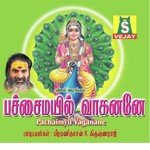 Muthukumara R. Krishnaraj Song Download Mp3