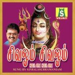 Siva Om S.P. Balasubrahmanyam Song Download Mp3