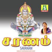 Swamiye Saranam Pushpavanam Kuppusamy Song Download Mp3