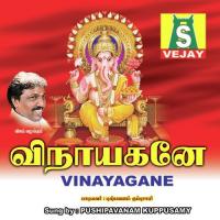 Ganapathirajain Pushpavanam Kuppusamy Song Download Mp3