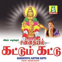 Pambai Vasane Pushpavanam Kuppusamy Song Download Mp3