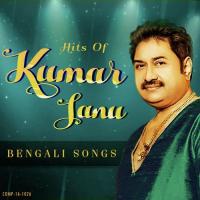 Moner Canvas Kumar Sanu Song Download Mp3