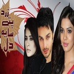 Jese Mitti Ka Ho Ik Diya Rahat Fateh Ali Khan Song Download Mp3