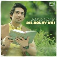 Dil Bolay Hai Wasiq Malik Song Download Mp3