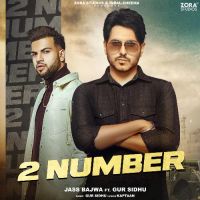 2 Number Jass Bajwa Song Download Mp3