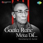 Gaata Rahe Mera Dil - Remembering S.D. Burman songs mp3
