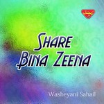 Share Bina Zeena songs mp3