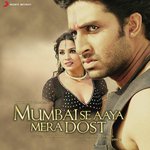 Mujhe Tune Jo Dekha To Anu Malik,Sonu Nigam,Alka Yagnik Song Download Mp3
