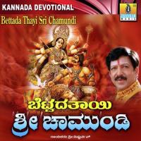 Amma Chamundi Ninnanda Vishnuvardhan Song Download Mp3