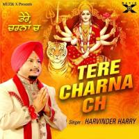 Tere Charna Ch Harvinder Harry Song Download Mp3