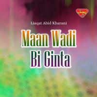Maan Wadi Bi Ginta songs mp3