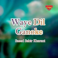 Waye Dil Ganoke Saeed Sabir Kharani Song Download Mp3