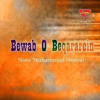 Bewab O Beqararein, Vol. 35 songs mp3