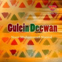 Gulein Deewan, Vol. 10 songs mp3
