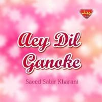 Aey Dil Ganoke Saeed Sabir Kharani Song Download Mp3