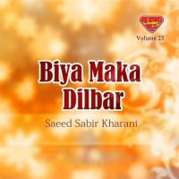 Biya Maka Dilbar, Vol. 23 songs mp3