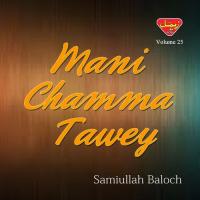 Mani Chamma Tawey, Vol. 25 songs mp3