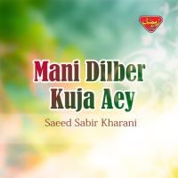 Tou Shamma Nadu Saeed Sabir Kharani Song Download Mp3