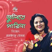 Bhulite Parina songs mp3