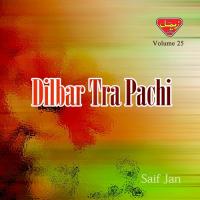 Dilbar Tra Pachi, Vol. 25 songs mp3