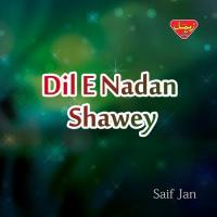 Dil-e-Nadan Shawey Saif Jan Song Download Mp3