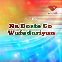 Na Doste Go Wafadariyan, Vol. 80 songs mp3