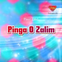 Pinga O Zalim, Vol. 40 songs mp3