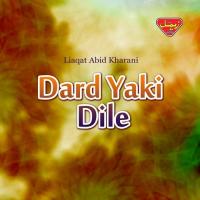 Dard Yaki Dile songs mp3