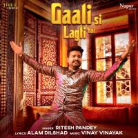 Gaali Si Lagti Hai Ritesh Pandey Song Download Mp3
