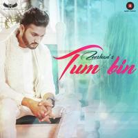 Tum Bin Zeeshan Song Download Mp3