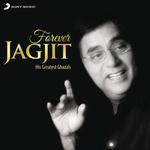 Zindagi Kya Hai Jagjit Singh,Gulzar Song Download Mp3