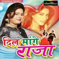 Dil Mange Raja songs mp3