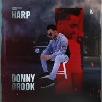 Donnybrook Harp Song Download Mp3