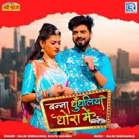 Banna Dhudhliya Dhora Me Salim Shekhawas,Shilpa Bidawat Song Download Mp3