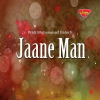 Jam Bara Bastan Wali Muhammad Baloch Song Download Mp3