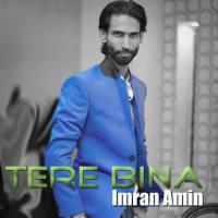 Tere Bina Imran Amin Song Download Mp3