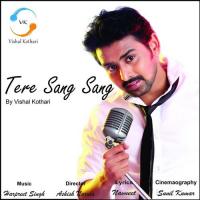 Tere Sang Sang Vishal Kothari Song Download Mp3