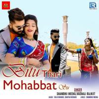 Bitu Thari Mohabbat Su Shambhu Meena,Vaishali Rajkot Song Download Mp3