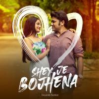 Shey Je Bojhena Gourab Sarkar Song Download Mp3
