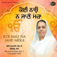 Apne Khasam Bharosa Bibi Damandeep Kaur Ji Chandigarh Wale Song Download Mp3
