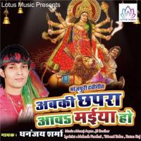 Dhaile Bani Kalasha Dhananjay Sharma Song Download Mp3