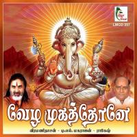 Sathurthiyin Nayaganai Veeramani Dasan Song Download Mp3