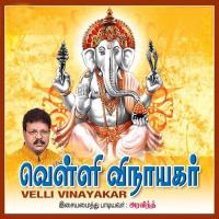 Vakrathunda Aravind Song Download Mp3